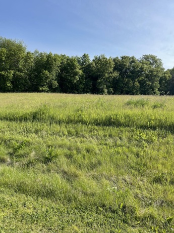 24-8 HIDDEN RANCH, LANARK, Illinois 61046, ,Land,For Sale,HIDDEN RANCH,202502907