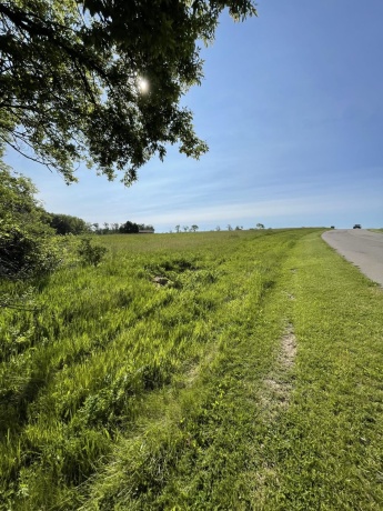 24-8 HIDDEN RANCH, LANARK, Illinois 61046, ,Land,For Sale,HIDDEN RANCH,202502907