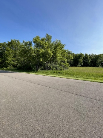 24-8 HIDDEN RANCH, LANARK, Illinois 61046, ,Land,For Sale,HIDDEN RANCH,202502907