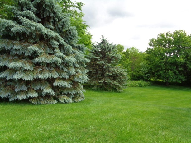 2 Fawn, GALENA, Illinois 61036, ,Land,For Sale,Fawn,202502967