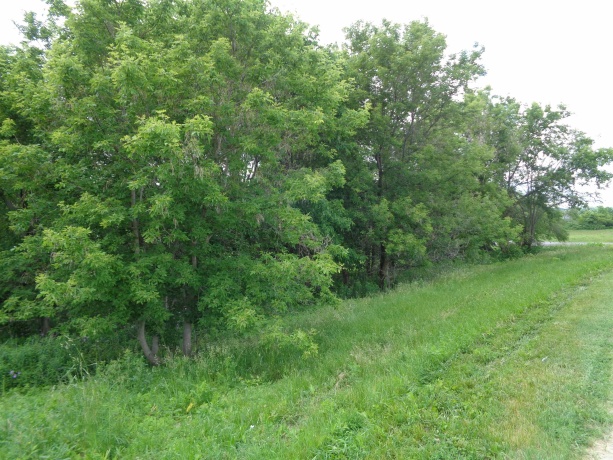 2 Fawn, GALENA, Illinois 61036, ,Land,For Sale,Fawn,202502967