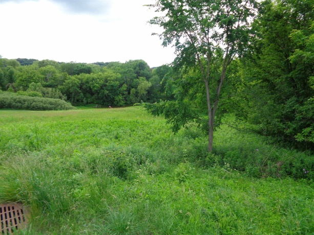 2 Fawn, GALENA, Illinois 61036, ,Land,For Sale,Fawn,202502967