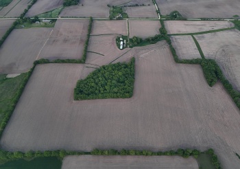 12150 Damascus, WINSLOW, Illinois 61089, ,Land,For Sale,Damascus,202502988