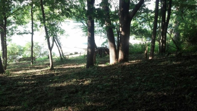 24-51 Saddlewood, LAKE CARROLL, Illinois 61046, ,Land,For Sale,Saddlewood,202503066