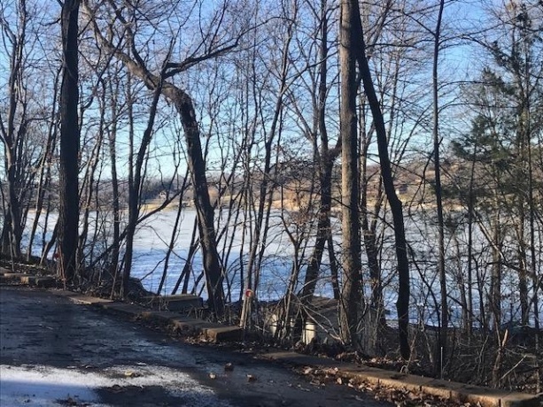 24-51 Saddlewood, LAKE CARROLL, Illinois 61046, ,Land,For Sale,Saddlewood,202503066