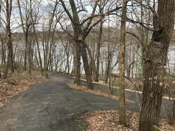 24-51 Saddlewood, LAKE CARROLL, Illinois 61046, ,Land,For Sale,Saddlewood,202503066