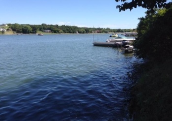 24-51 Saddlewood, LAKE CARROLL, Illinois 61046, ,Land,For Sale,Saddlewood,202503066