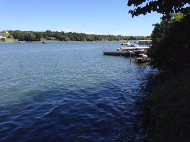 24-51 Saddlewood, LAKE CARROLL, Illinois 61046, ,Land,For Sale,Saddlewood,202503066
