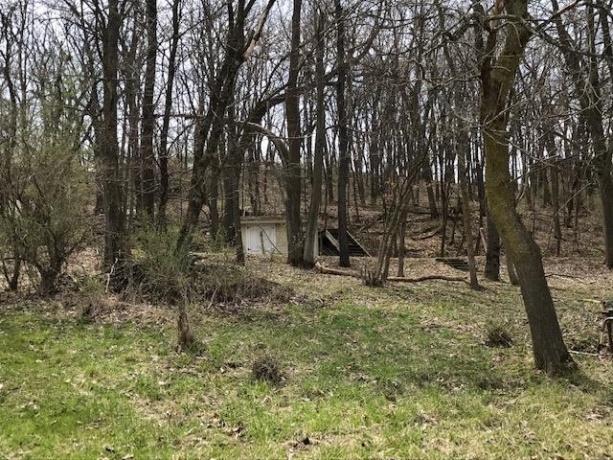 24-51 Saddlewood, LAKE CARROLL, Illinois 61046, ,Land,For Sale,Saddlewood,202503066