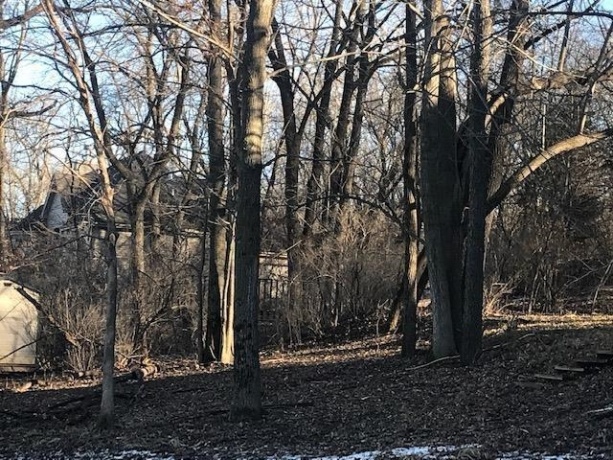 24-51 Saddlewood, LAKE CARROLL, Illinois 61046, ,Land,For Sale,Saddlewood,202503066