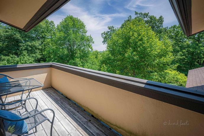 49 High Ridge, GALENA, Illinois 61036, 4 Bedrooms Bedrooms, ,3 BathroomsBathrooms,House,For Sale,High Ridge,202303784