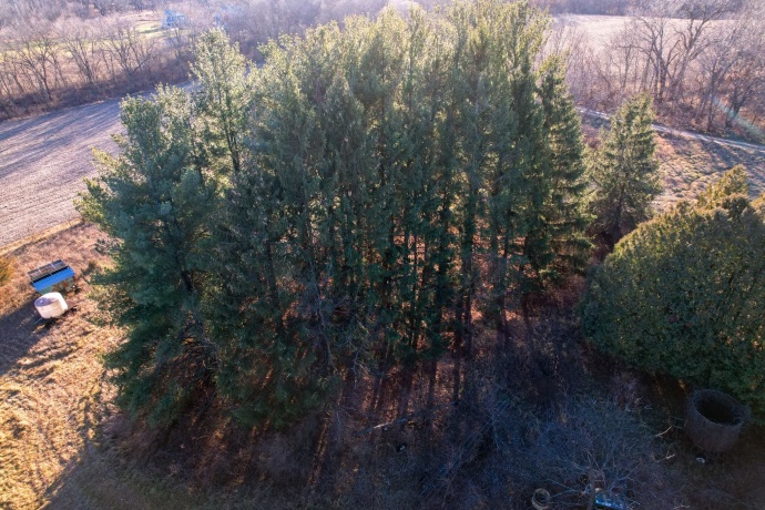 00 Moody, ROCKTON, Illinois 61072, ,Land,For Sale,Moody,202503081