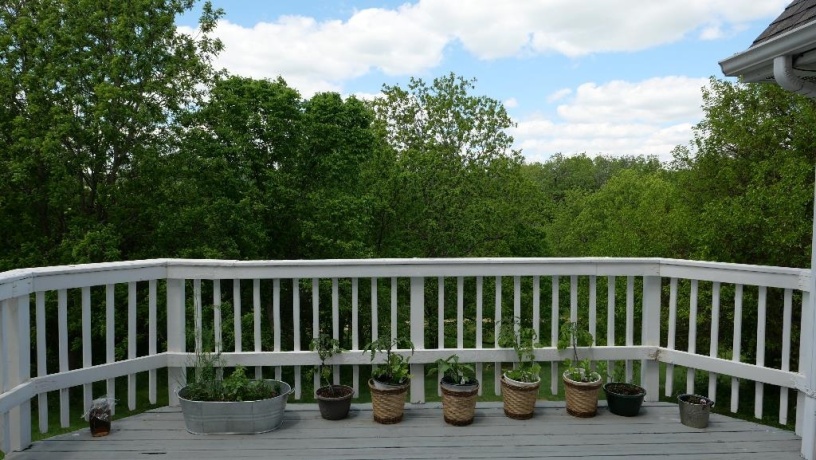 2346 Longhollow, ELIZABETH, Illinois 61028, 6 Bedrooms Bedrooms, ,4 BathroomsBathrooms,House,For Sale,Longhollow,202503095