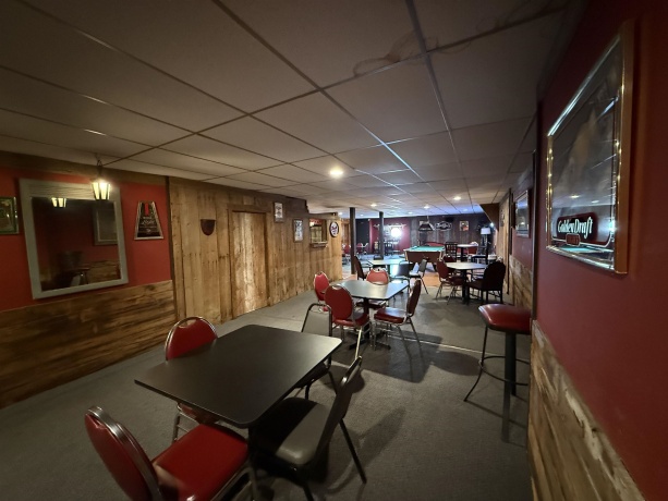 111 Front, STOCKTON, Illinois 61085, ,Business W/ Real Estate,For Sale,Front,202503136