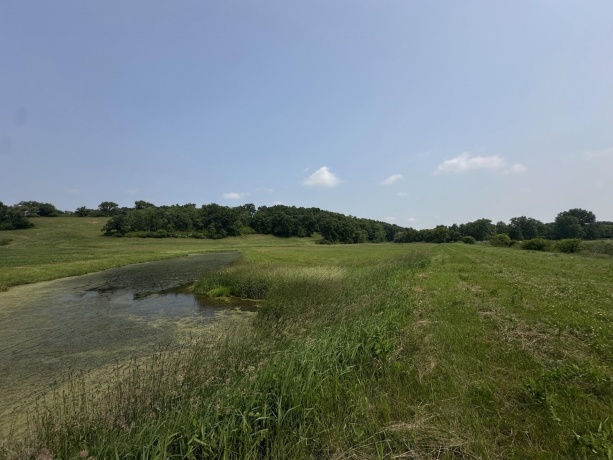 16025 Rte 78 South, MOUNT CARROLL, Illinois 61053, ,Land,For Sale,Rte 78 South,202503141