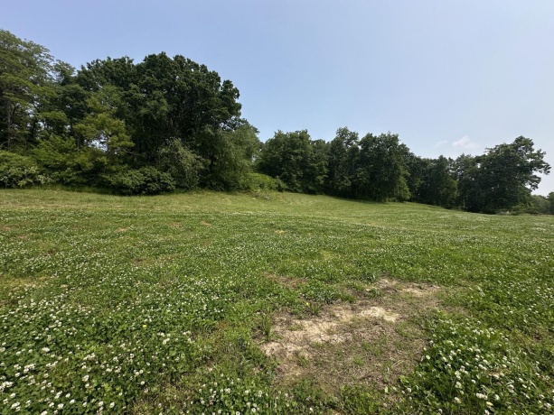 16025 Rte 78 South, MOUNT CARROLL, Illinois 61053, ,Land,For Sale,Rte 78 South,202503141