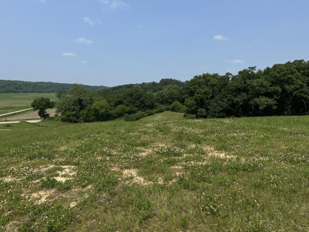 16025 Rte 78 South, MOUNT CARROLL, Illinois 61053, ,Land,For Sale,Rte 78 South,202503141