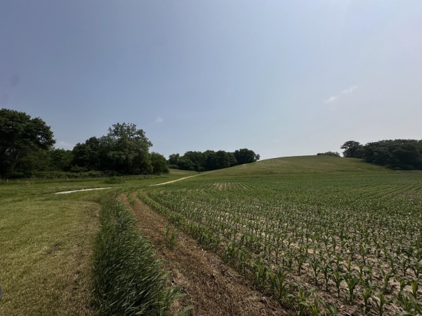 16025 Rte 78 South, MOUNT CARROLL, Illinois 61053, ,Land,For Sale,Rte 78 South,202503141