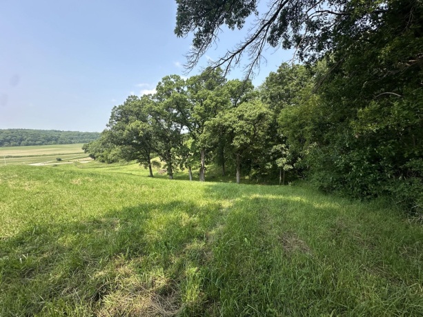 16025 Rte 78 South, MOUNT CARROLL, Illinois 61053, ,Land,For Sale,Rte 78 South,202503141