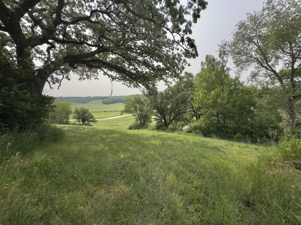 16025 Rte 78 South, MOUNT CARROLL, Illinois 61053, ,Land,For Sale,Rte 78 South,202503141