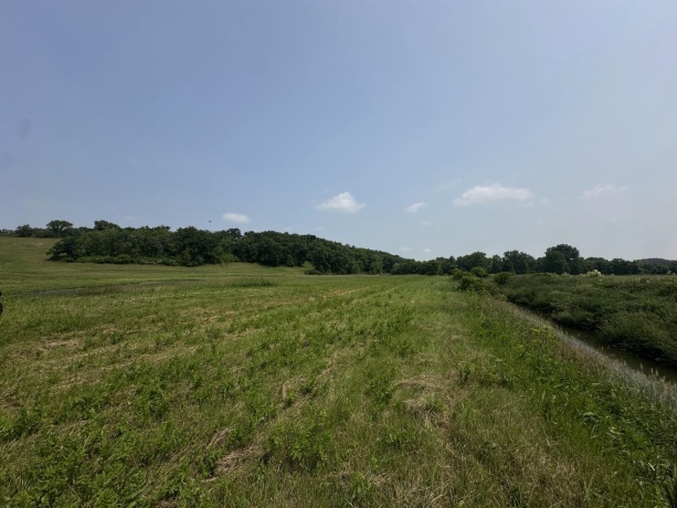 16025 Rte 78 South, MOUNT CARROLL, Illinois 61053, ,Land,For Sale,Rte 78 South,202503141