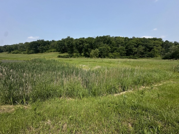 16025 Rte 78 South, MOUNT CARROLL, Illinois 61053, ,Land,For Sale,Rte 78 South,202503141