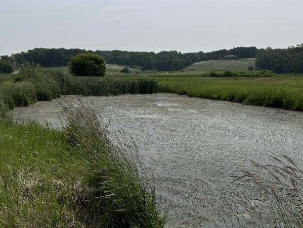 16025 Rte 78 South, MOUNT CARROLL, Illinois 61053, ,Land,For Sale,Rte 78 South,202503141