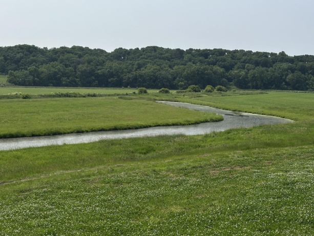 16025 Rte 78 South, MOUNT CARROLL, Illinois 61053, ,Land,For Sale,Rte 78 South,202503141