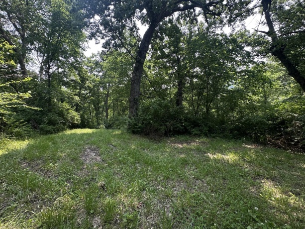 16025 Rte 78 South, MOUNT CARROLL, Illinois 61053, ,Land,For Sale,Rte 78 South,202503141