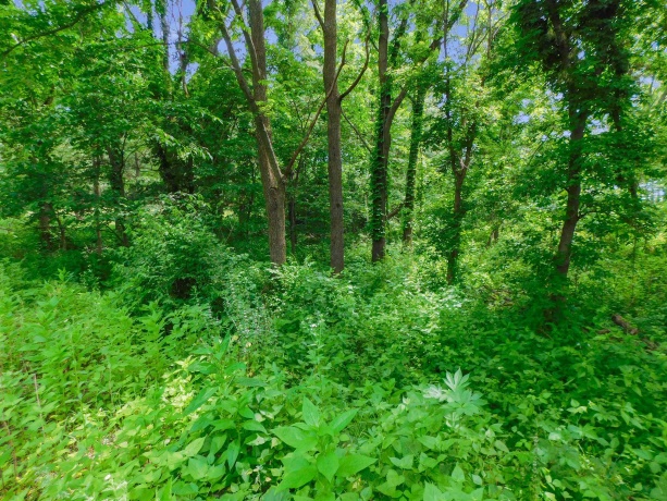 13071 Promontory, ROSCOE, Illinois 61073, ,Land,For Sale,Promontory,202503246