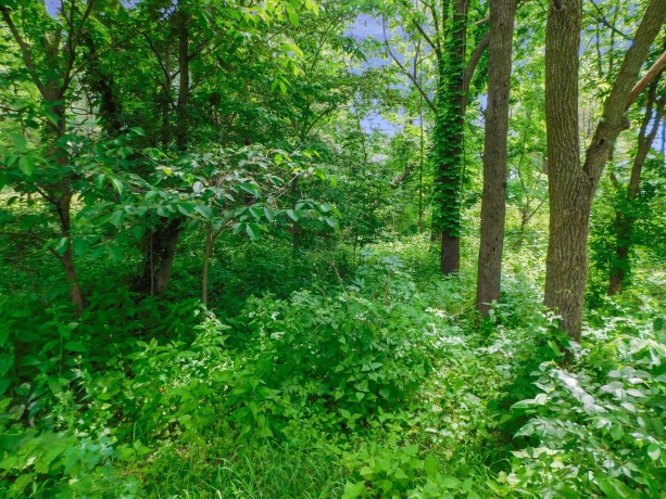 13071 Promontory, ROSCOE, Illinois 61073, ,Land,For Sale,Promontory,202503246