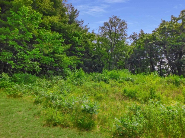 13071 Promontory, ROSCOE, Illinois 61073, ,Land,For Sale,Promontory,202503246