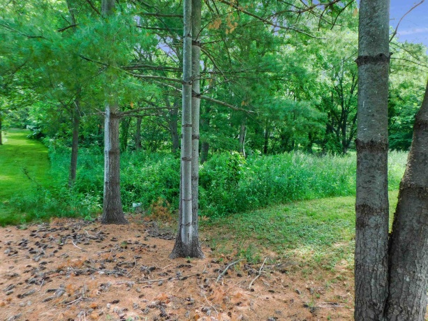 13071 Promontory, ROSCOE, Illinois 61073, ,Land,For Sale,Promontory,202503246