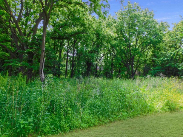 13071 Promontory, ROSCOE, Illinois 61073, ,Land,For Sale,Promontory,202503246