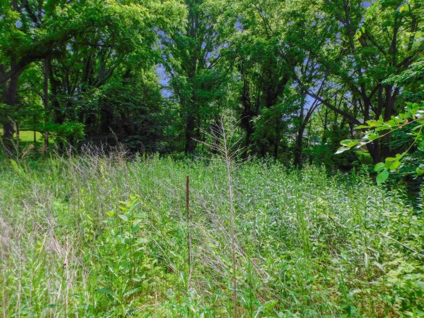 13071 Promontory, ROSCOE, Illinois 61073, ,Land,For Sale,Promontory,202503246