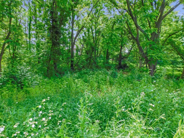 13071 Promontory, ROSCOE, Illinois 61073, ,Land,For Sale,Promontory,202503246