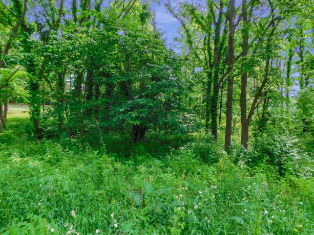 13071 Promontory, ROSCOE, Illinois 61073, ,Land,For Sale,Promontory,202503246