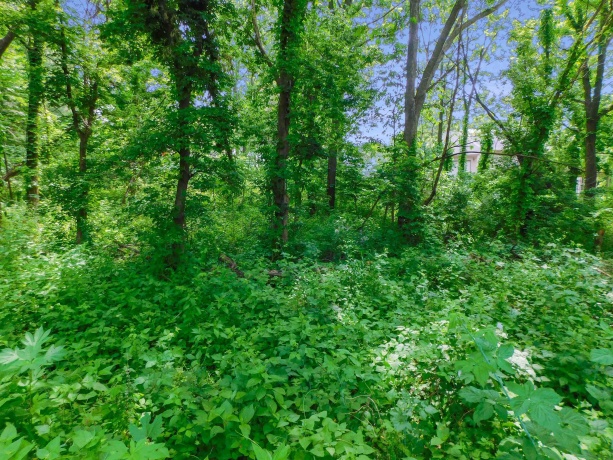 13071 Promontory, ROSCOE, Illinois 61073, ,Land,For Sale,Promontory,202503246