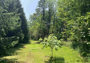 TBD US Route 20, ELIZABETH, Illinois 61028, ,Land,For Sale,US Route 20,202503258