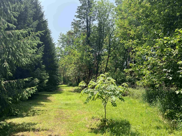 TBD US Route 20, ELIZABETH, Illinois 61028, ,Land,For Sale,US Route 20,202503258