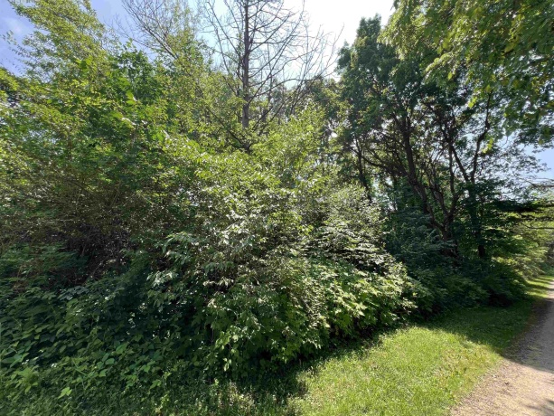 TBD US Route 20, ELIZABETH, Illinois 61028, ,Land,For Sale,US Route 20,202503258