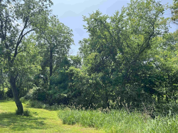 TBD US Route 20, ELIZABETH, Illinois 61028, ,Land,For Sale,US Route 20,202503258