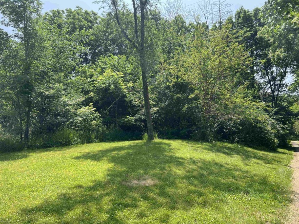 TBD US Route 20, ELIZABETH, Illinois 61028, ,Land,For Sale,US Route 20,202503258