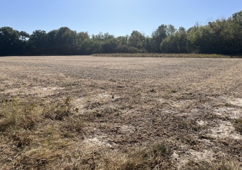 1365 Lot 2 N, Princeton, Illinois 61356, ,Land,For Sale,N,202503293
