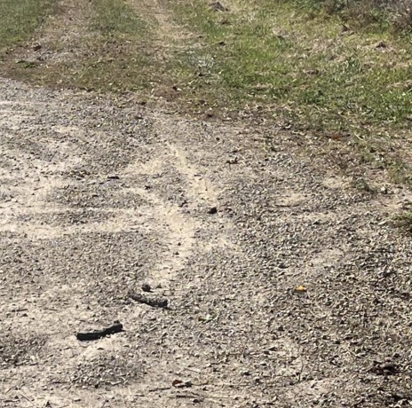 1365 Lot 2 N, Princeton, Illinois 61356, ,Land,For Sale,N,202503293