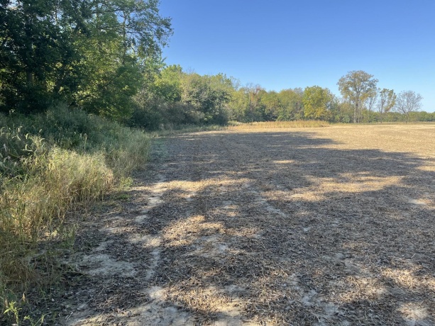 1365 Lot 2 N, Princeton, Illinois 61356, ,Land,For Sale,N,202503293