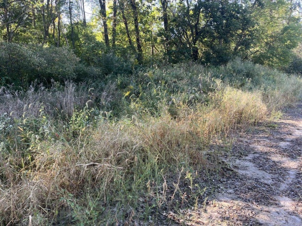 1365 Lot 2 N, Princeton, Illinois 61356, ,Land,For Sale,N,202503293