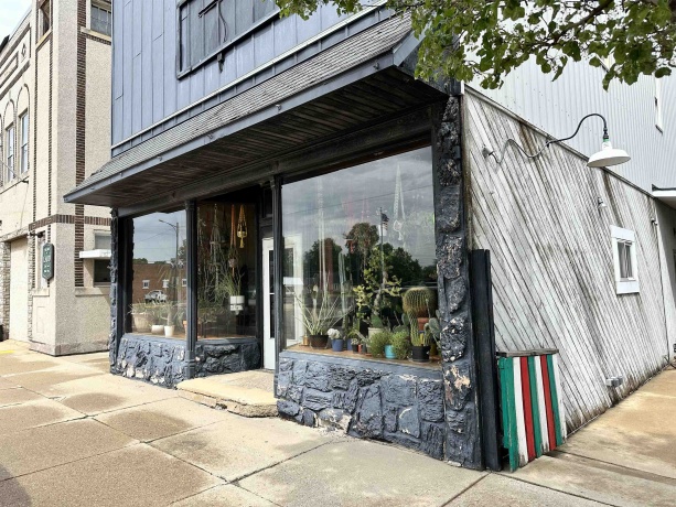 115-117 Main, LADD, Illinois 61329, ,Mixed Use,For Sale,Main,202503323