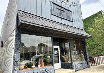 115-117 Main, LADD, Illinois 61329, ,Mixed Use,For Sale,Main,202503323
