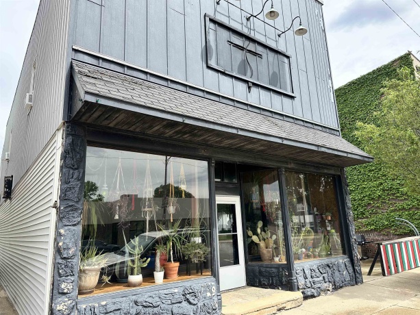 115-117 Main, LADD, Illinois 61329, ,Mixed Use,For Sale,Main,202503323